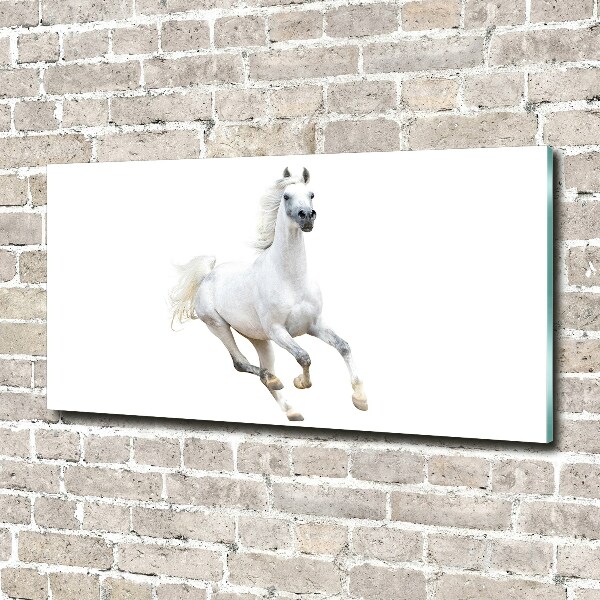 Wall art on glass White arabic horse