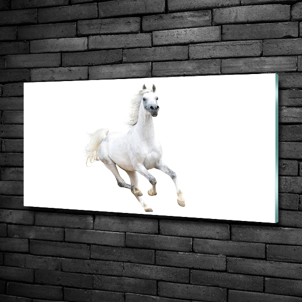 Wall art on glass White arabic horse