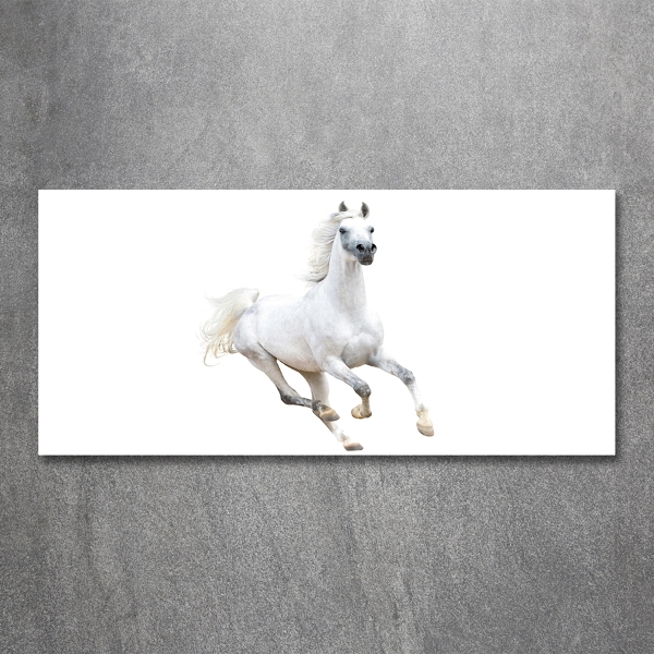 Wall art on glass White arabic horse