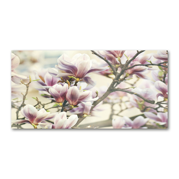 Printed glass wall art Magnolia