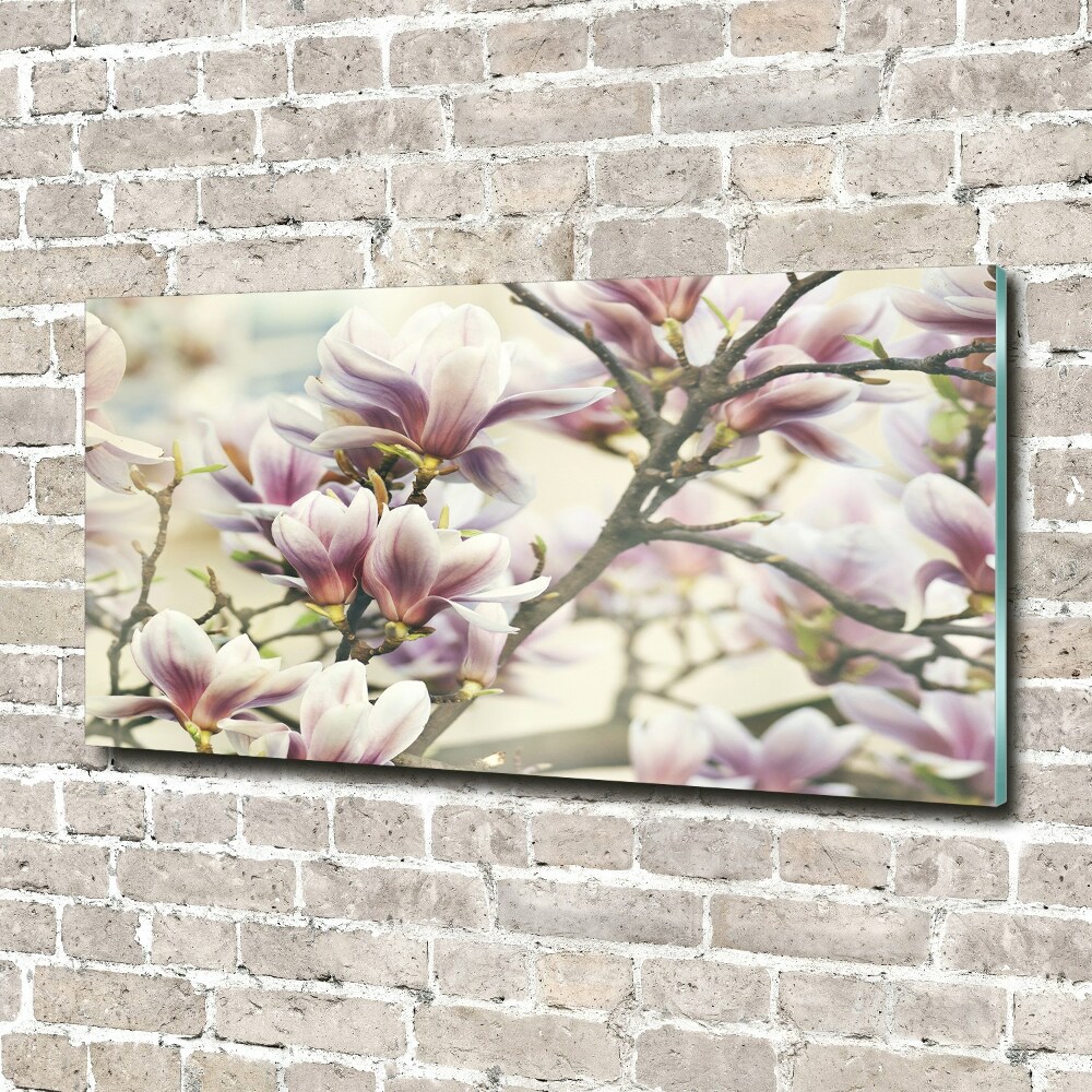 Printed glass wall art Magnolia