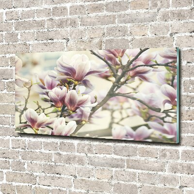 Printed glass wall art Magnolia