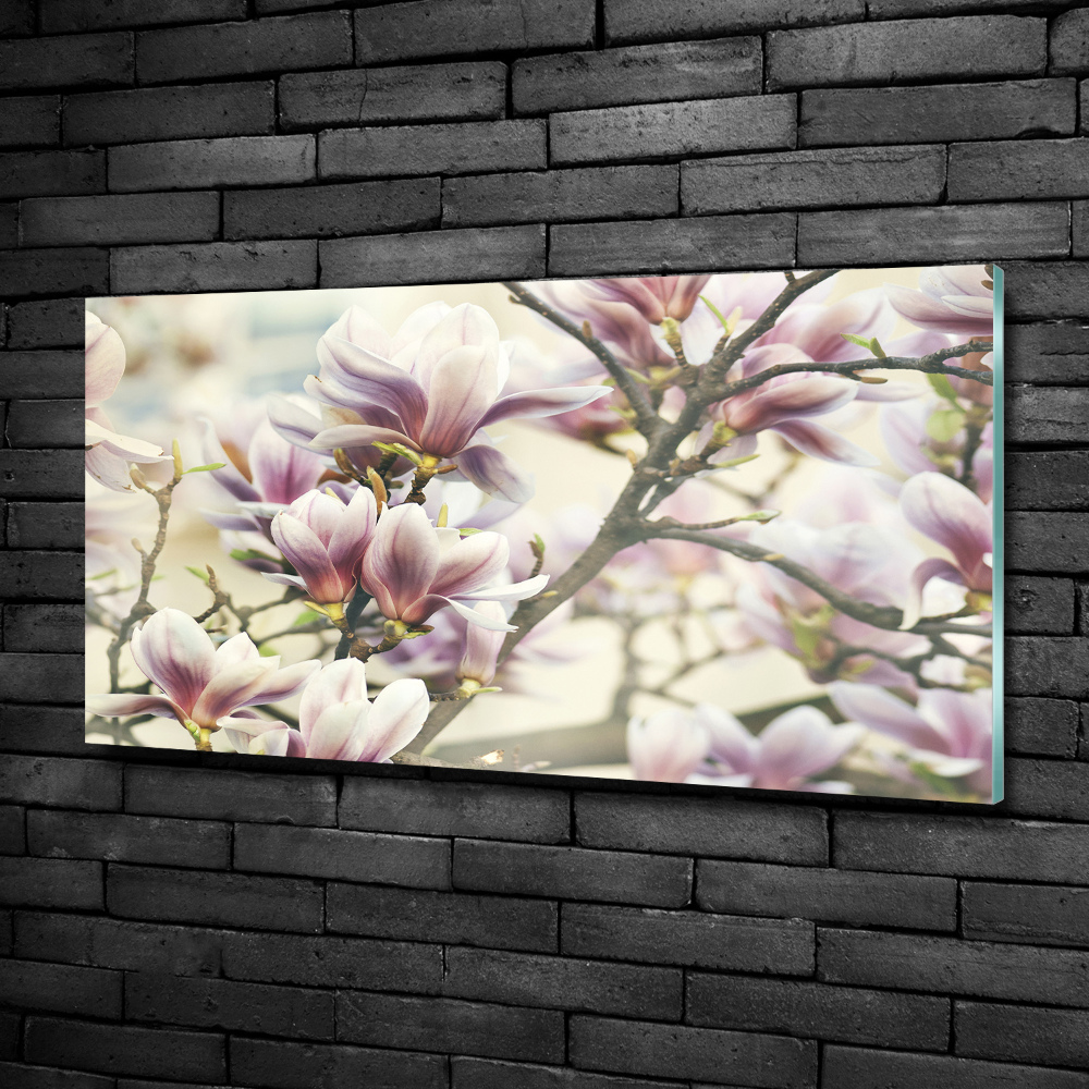 Printed glass wall art Magnolia