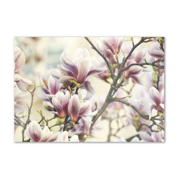 Printed glass wall art Magnolia