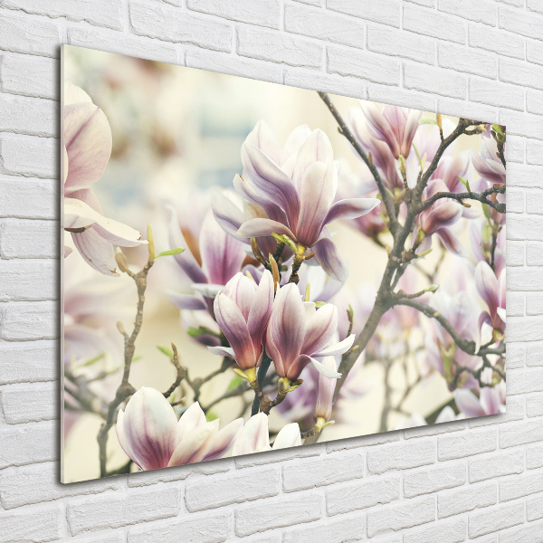 Printed glass wall art Magnolia