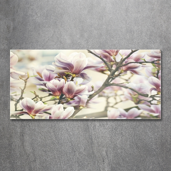 Printed glass wall art Magnolia