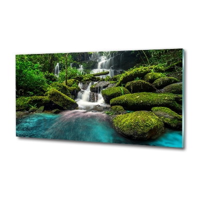 Glass wall art large Waterfall in the jungle