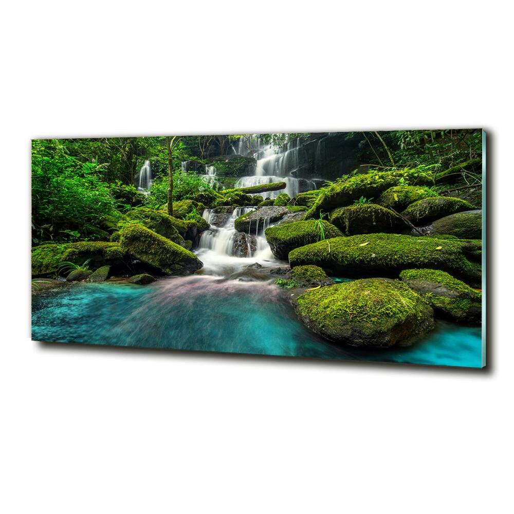 Glass wall art large Waterfall in the jungle