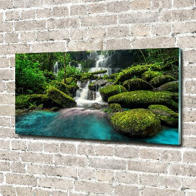 Glass wall art large Waterfall in the jungle