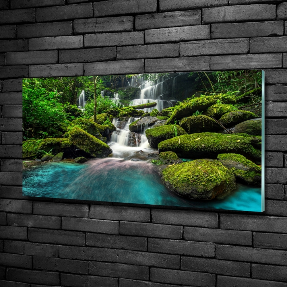 Glass wall art large Waterfall in the jungle