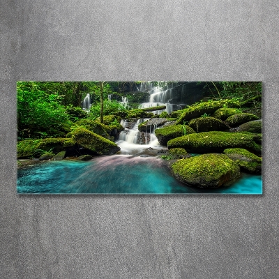 Glass wall art large Waterfall in the jungle