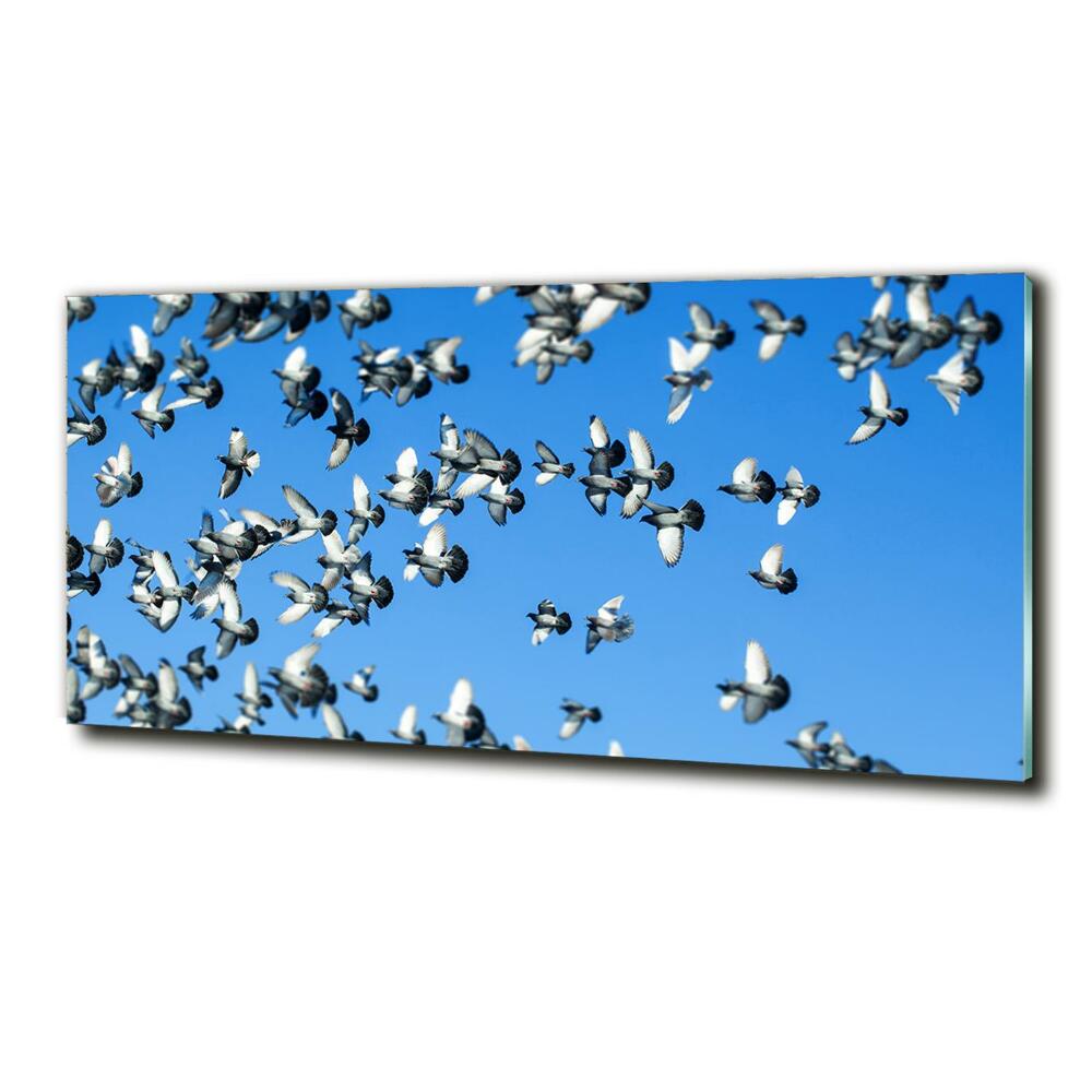 Glass wall art Flock of pigeons