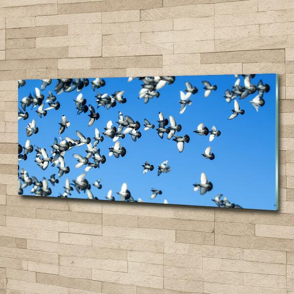 Glass wall art Flock of pigeons