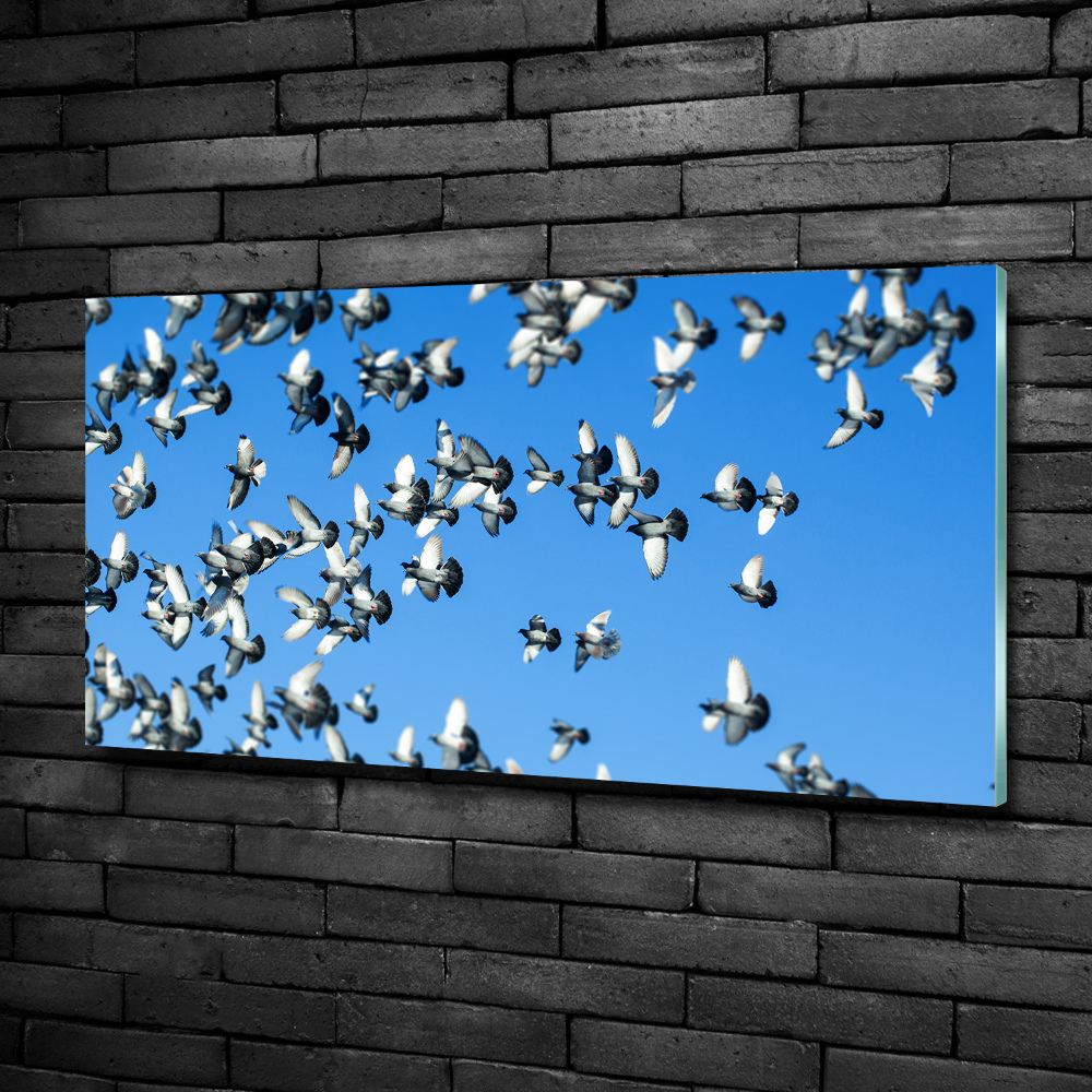 Glass wall art Flock of pigeons