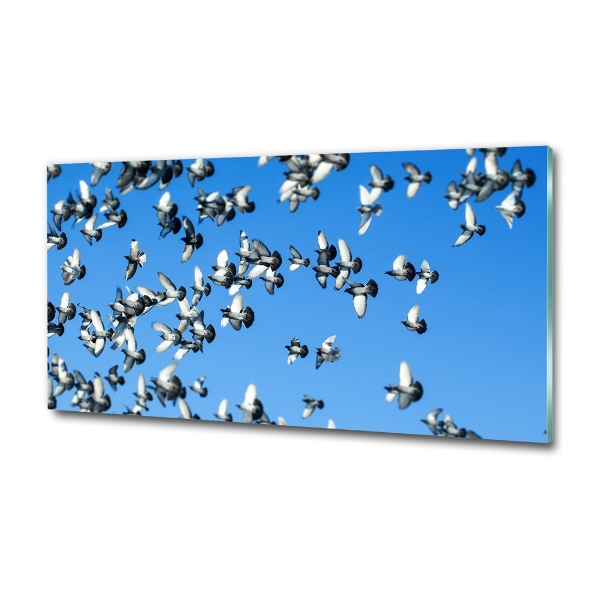 Glass wall art Flock of pigeons