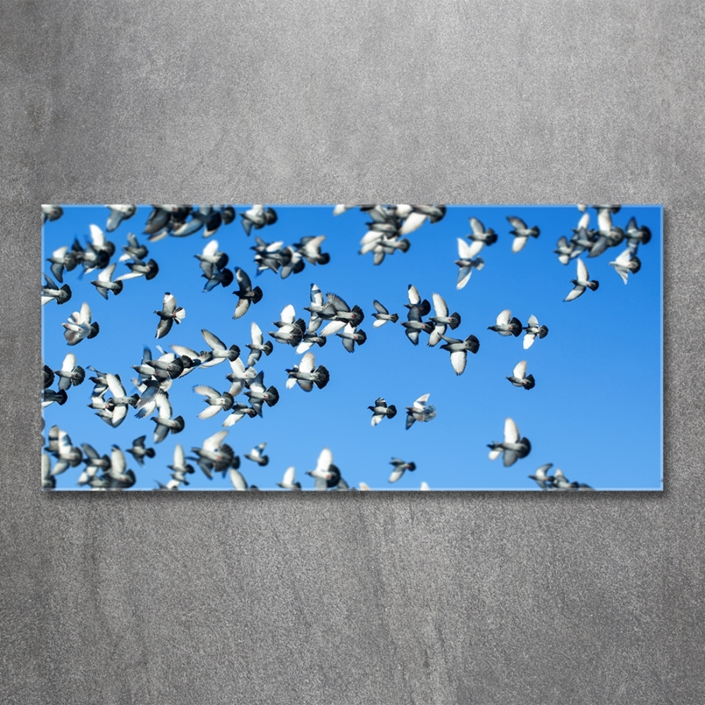 Glass wall art Flock of pigeons