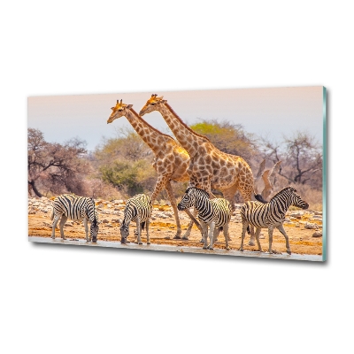 Wall art on glass Giraffes and zebra