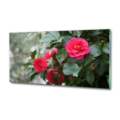 Glass wall art Camellia