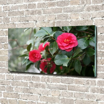 Glass wall art Camellia