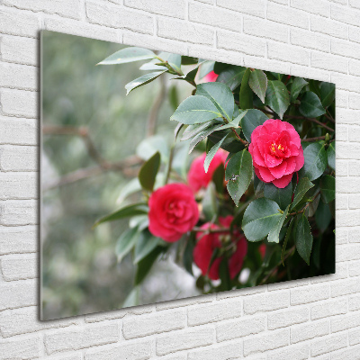 Glass wall art Camellia