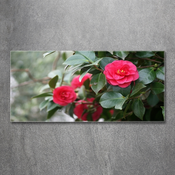 Glass wall art Camellia