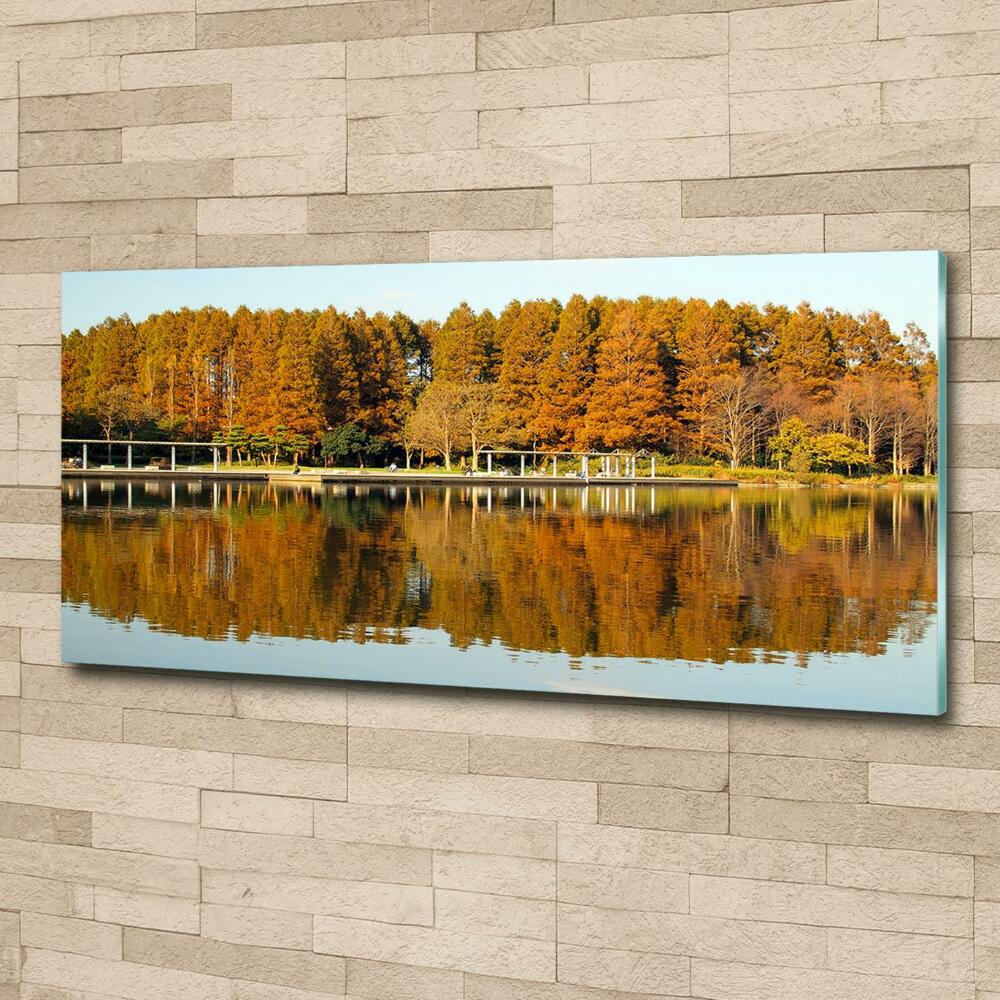 Glass wall art large Forest by the lake