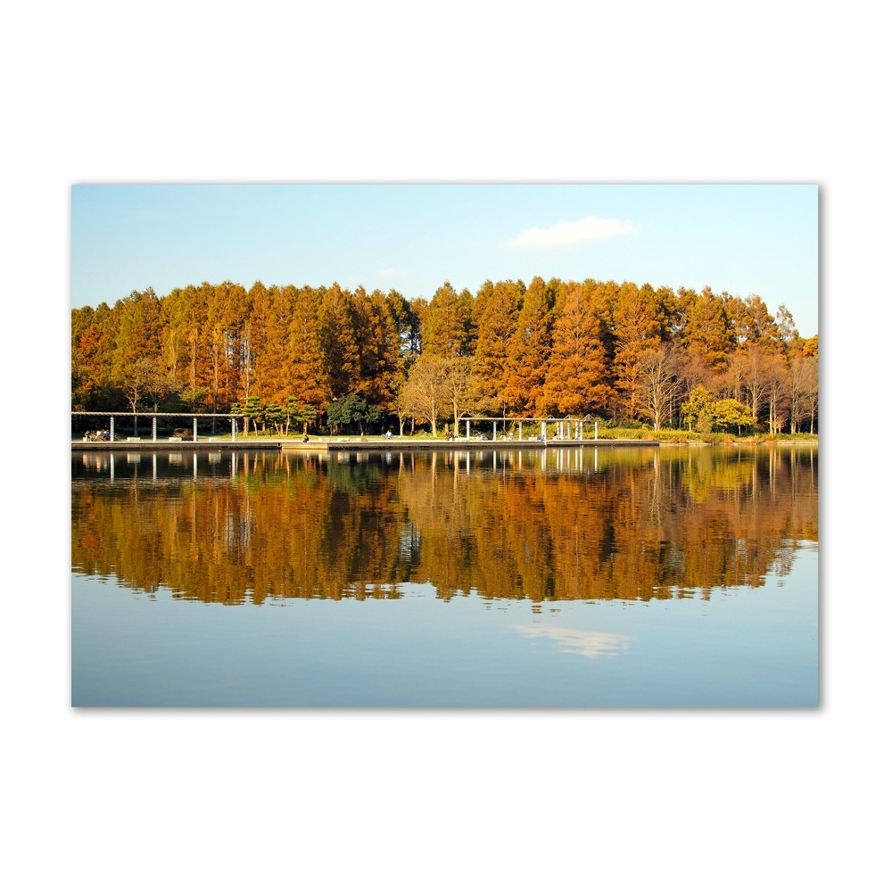 Glass wall art large Forest by the lake