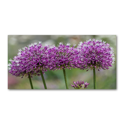 Wall art on glass Garlic flower