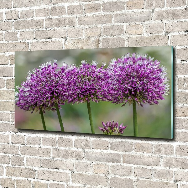 Wall art on glass Garlic flower