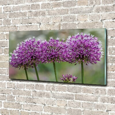 Wall art on glass Garlic flower