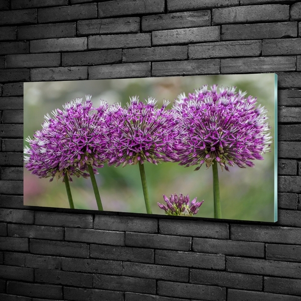 Wall art on glass Garlic flower