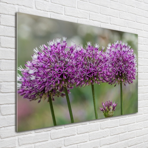 Wall art on glass Garlic flower