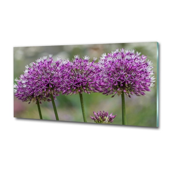 Wall art on glass Garlic flower