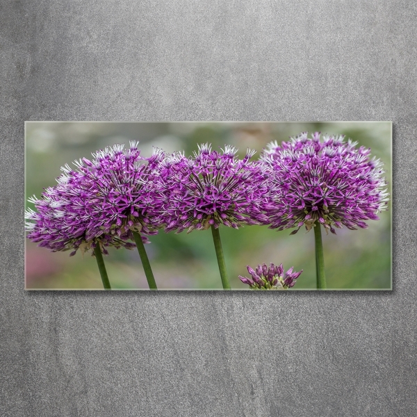 Wall art on glass Garlic flower