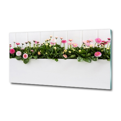 Wall art on glass Pink daisies