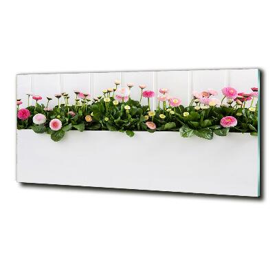 Wall art on glass Pink daisies