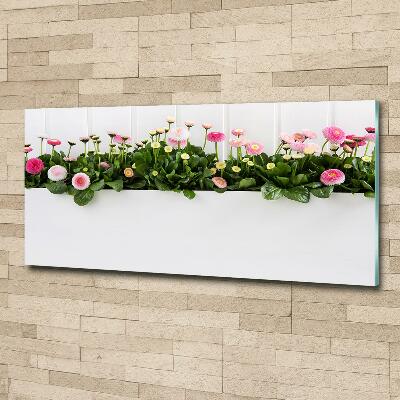 Wall art on glass Pink daisies