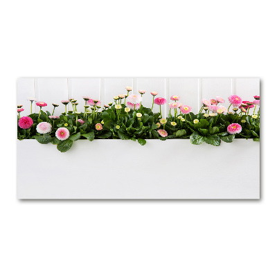 Wall art on glass Pink daisies