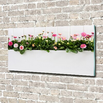 Wall art on glass Pink daisies