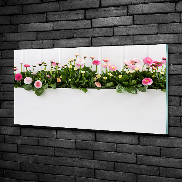 Wall art on glass Pink daisies