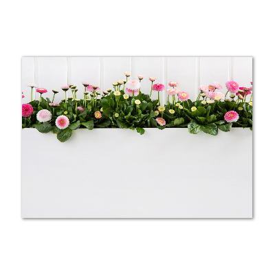 Wall art on glass Pink daisies