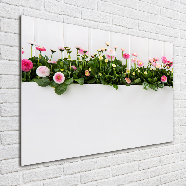 Wall art on glass Pink daisies