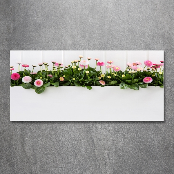 Wall art on glass Pink daisies