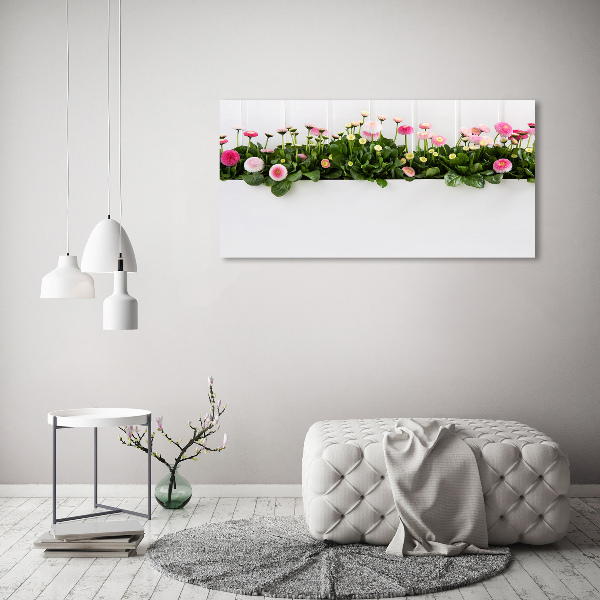 Wall art on glass Pink daisies