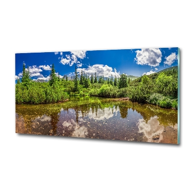 Glass wall art large Lake in the forest