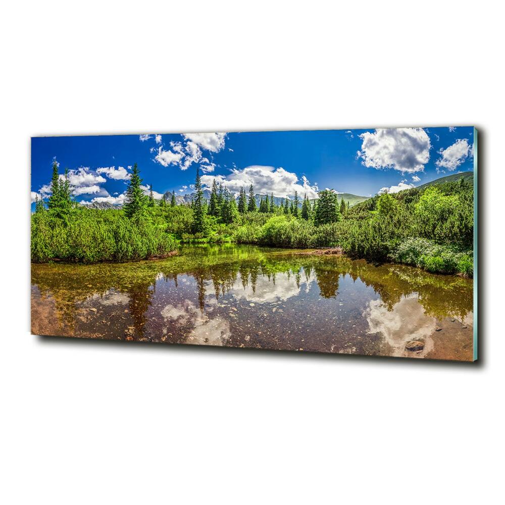 Glass wall art large Lake in the forest