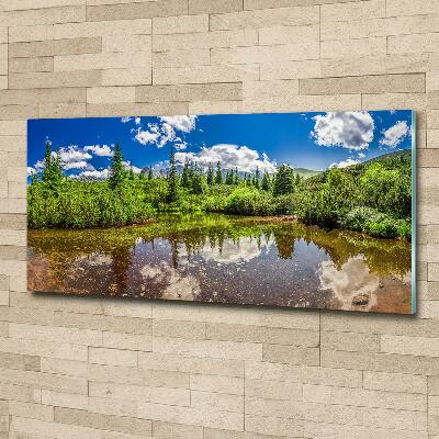 Glass wall art large Lake in the forest