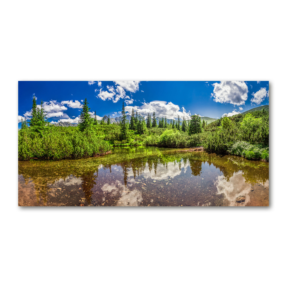 Glass wall art large Lake in the forest