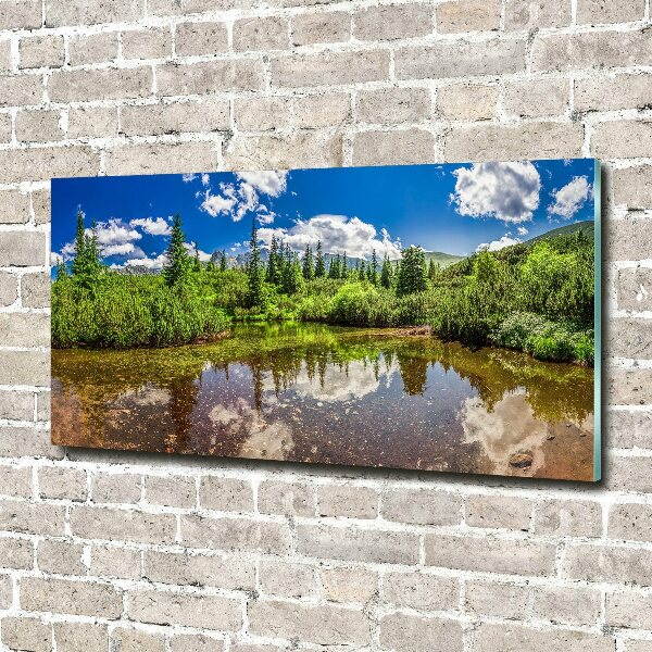 Glass wall art large Lake in the forest