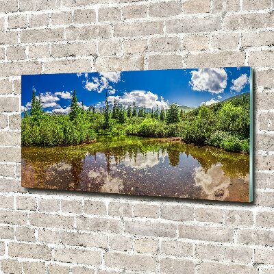 Glass wall art large Lake in the forest